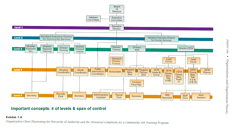 walmart functional organizational structure