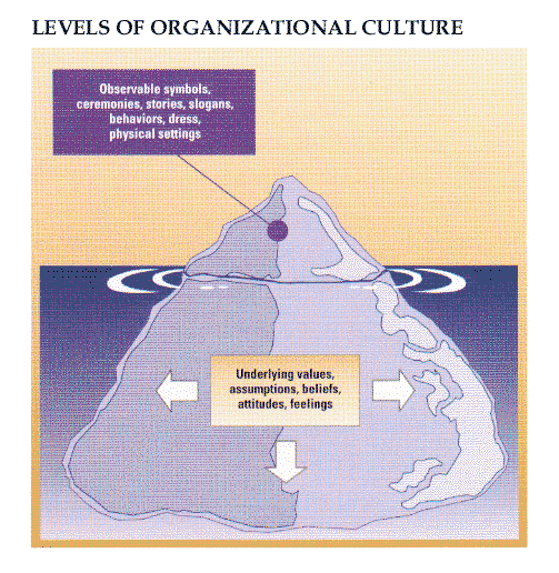 levels of organisational culture